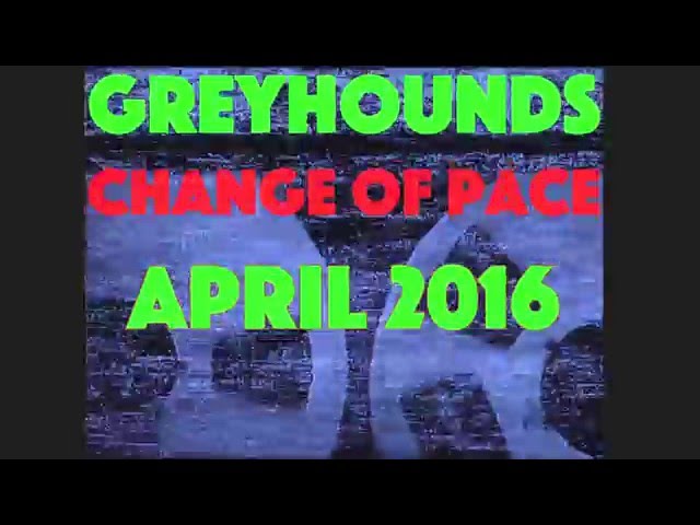 Greyhounds - Change of Pace Album Teaser