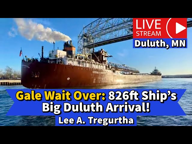 ⚓️Gale Wait Over: 826ft Ship ‘Lee Tregurtha’ Big Duluth Arrival!