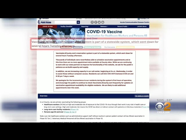Website For COVID-19 Vaccine Appointments Crashes After Launch