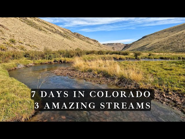 Fly Fishing Colorado - 3 streams loaded with browns and cutthroat trout!
