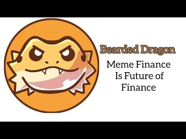 Bearded Dragon || Beardy Will Lead Meme Finance