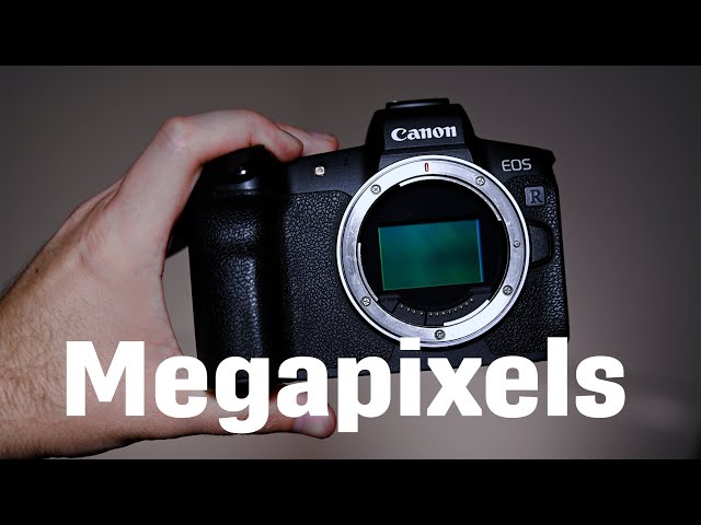 Megapixels - How Many Is Too Many? #photographer