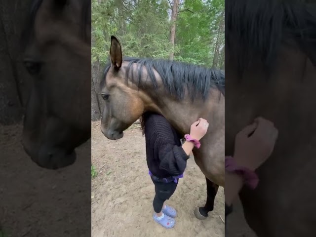 Horse Sven hugs and scratches. Such a big baby.