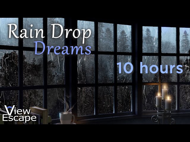 Rain Sleep in the Forest with Thunder | Rain Sounds on Window | ASMR White Noise Rain | 10 HOURS