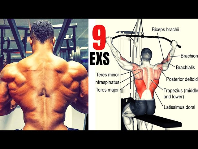 9 BEST BACK WORKOUT / Les 8 Meilleurs exercises  musculation dos