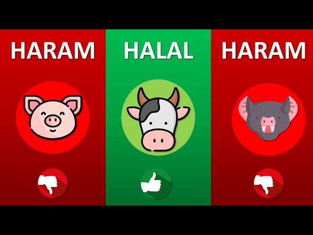 Halal and Haram Animal Meat In Islam