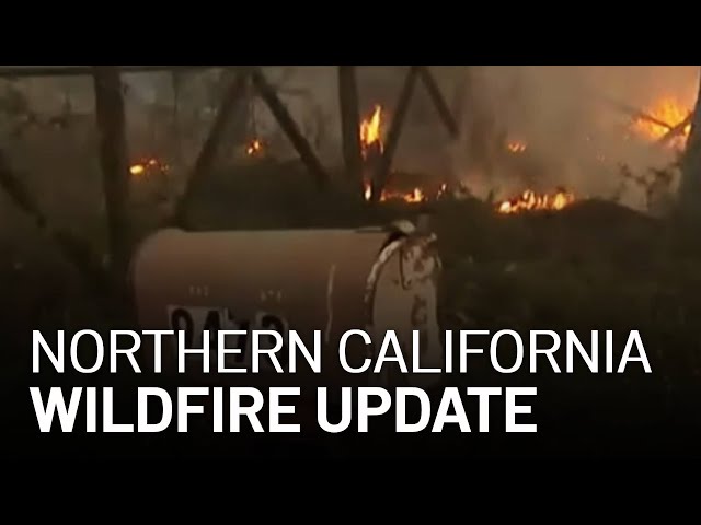 LIVE: Updates on California Wildfires, Evacuations [8/20 6 PM]