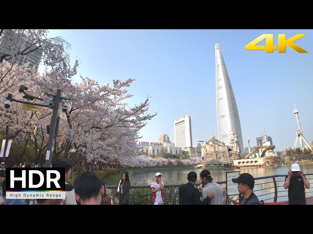 Cherry Blossoms 2024 Seokchon Lake near Lotte World Tower  | Seoul Korea 4K HDR