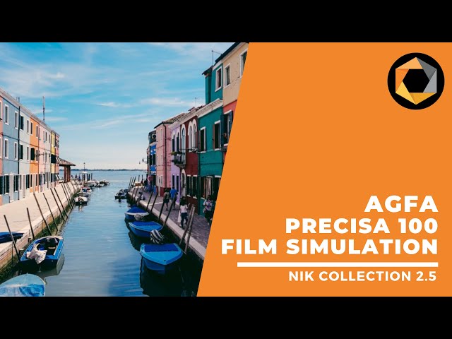 New Agfa Precisa 100 Film Simulation / Nik collection 2.5