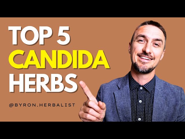 Top 5 Herbs to Treat Candida
