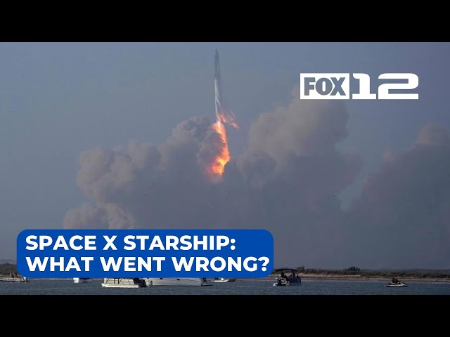 What happened to the Space X Starship launch & what comes next