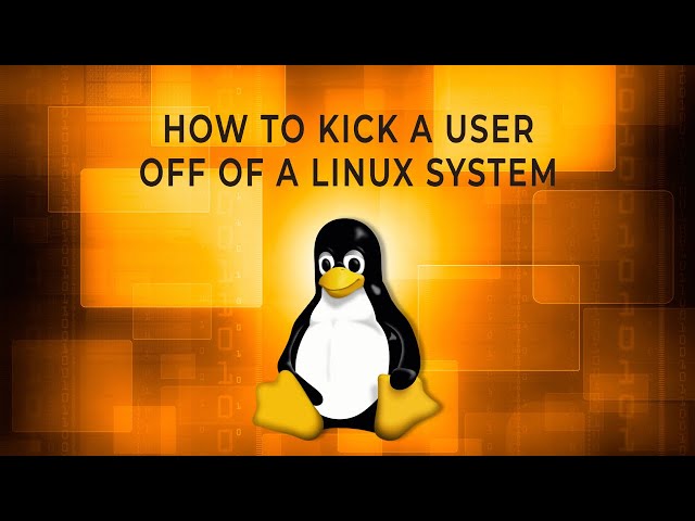 How to kick (disconnect) a user off of a Linux machine