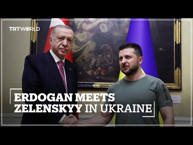Erdogan meets Ukrainian counterpart Zelenskyy in Lviv
