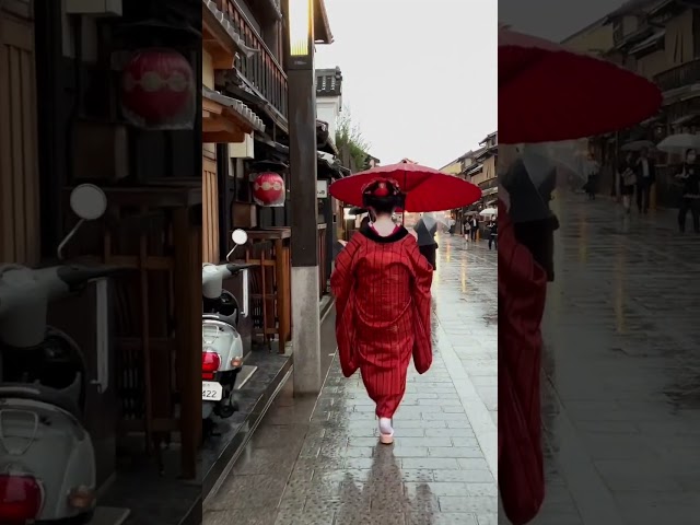 祇園花見小路の和傘の似合う舞妓さん #京都 #舞妓