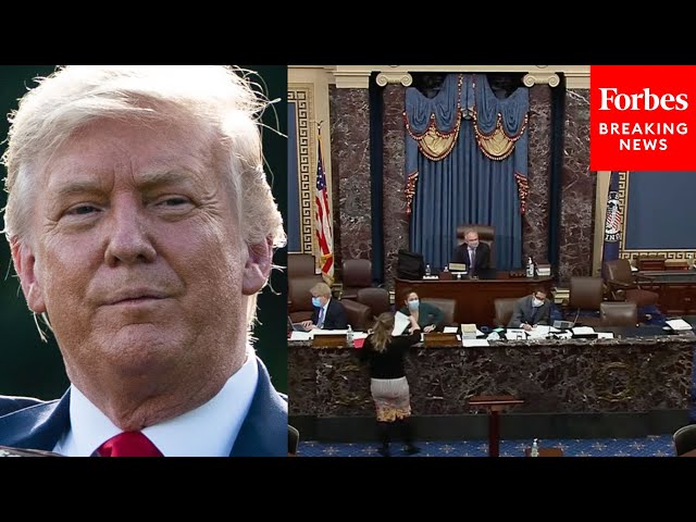 Trump Acquitted In Second Impeachment This Year | 2021 Rewind