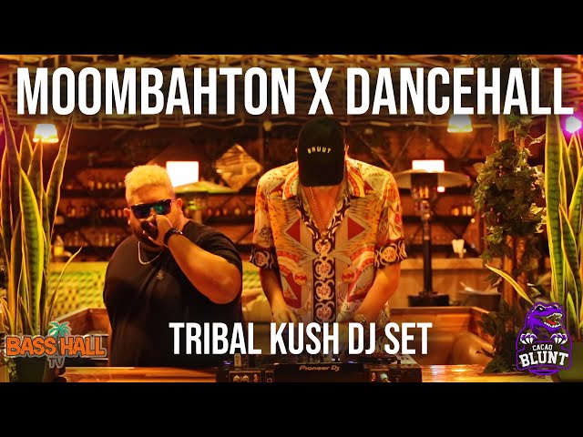Tribal Kush X Basshall Mix - 2021 Best Moombahton, Shatta & Dancehall Live Set