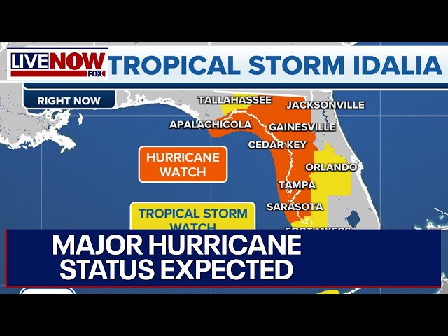 Idalia: Florida hurricane to bring major storm surge, flooding concerns | LiveNOW from FOX