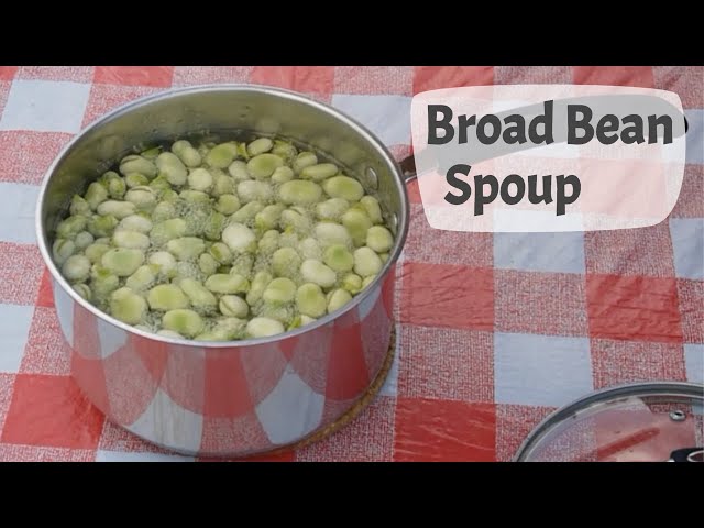 Broad Bean Soup