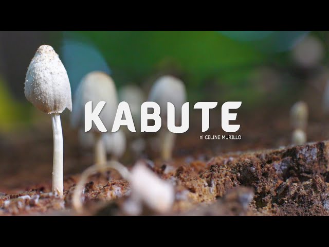 Kabute ni Celine Murillo | Forest Foundation Philippines