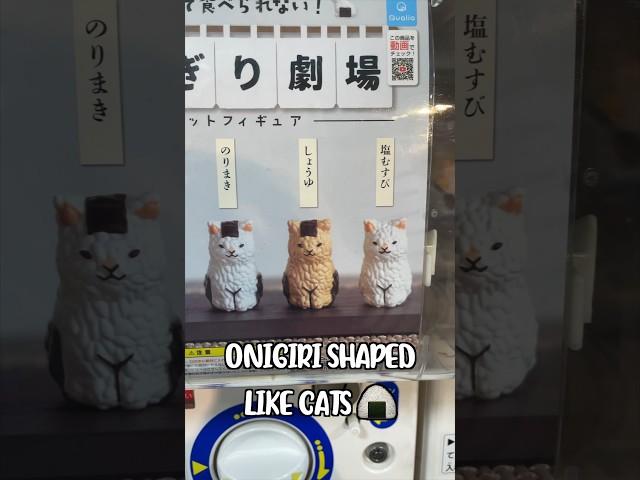 The Cutest CAT Capsule Toy 🥹🍙✨