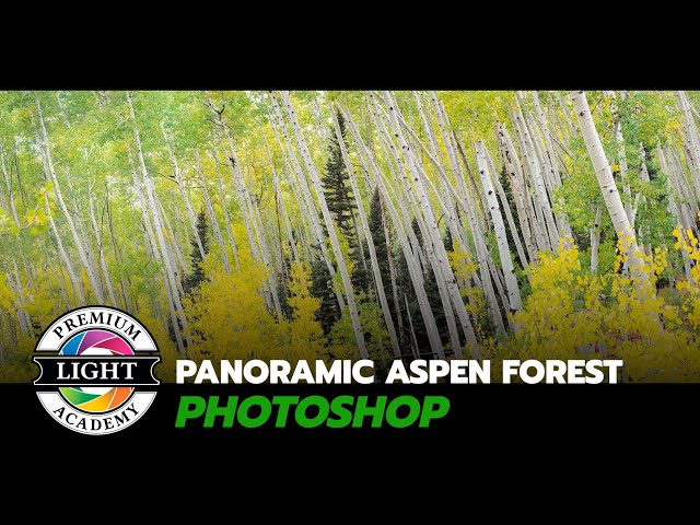 Listing Aspens Photoshop - Fall Color Photography