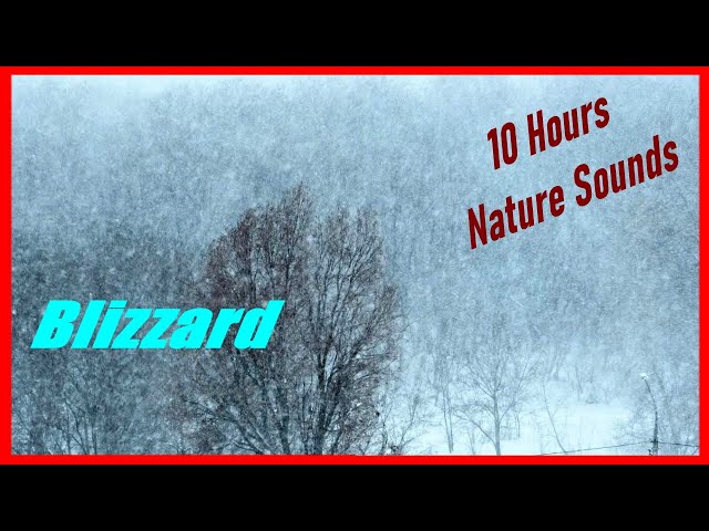 Sleep or Relax With Blizzard Sound, 10 Hours Snowstorm