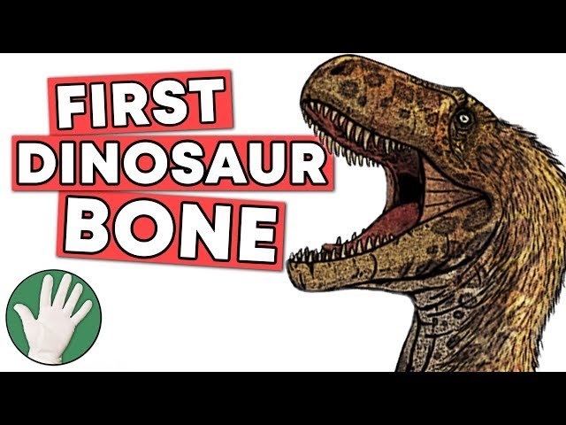 The First Dinosaur Bone - Objectivity 158
