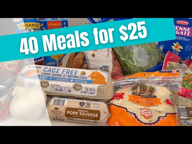 40 Meals for $25 | Fast and EASY Budget Friendly Meals | Emergency Grocery Budget Meal Plan