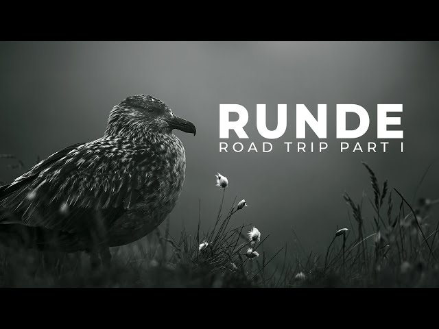 Road Trip to Runde Bird Island | Bird Photography | BioFoto Part 1/2