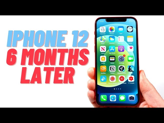 iPhone 12 6 Months Later