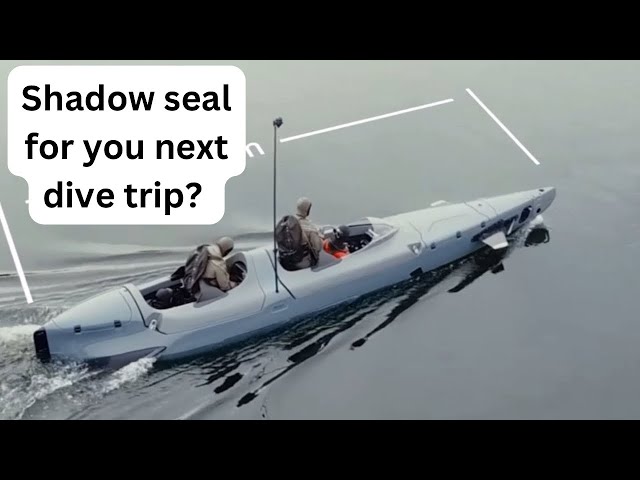 Shadow seal  submersible the only way to travel .