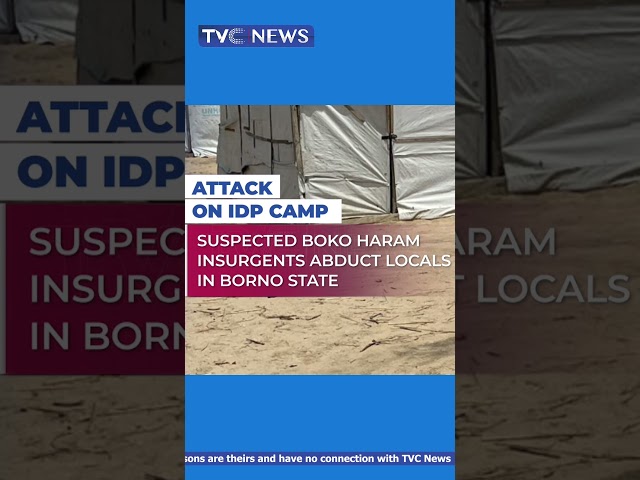 Suspected Boko Haram Insurgents Abduct Locals in Borno State