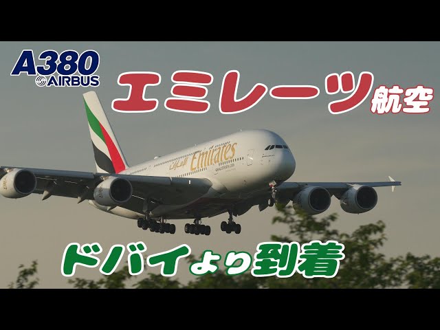 【4K】成田空港 さくらの山公園 エミレーツ航空 エアーバスA380 ドバイより到着