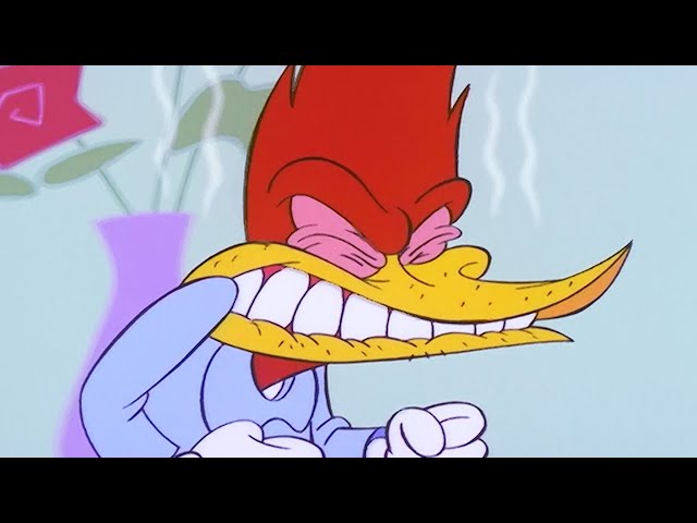Woody Woodpecker | Woody's Terrible Roommate + More Full Episodes