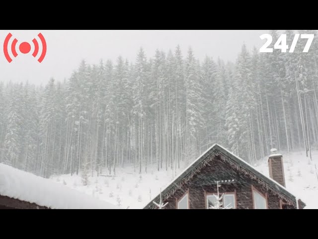Blizzard Snowstorm Sounds for Relaxing & Sleeping | Strong Wind & Falling Snow Sounds (White Noise)