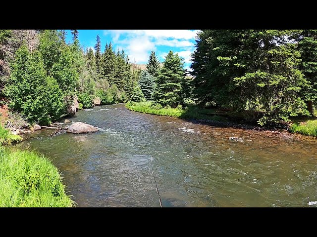 INSANE Dry Fly Bite & Truck Camping next to this STUNNING stream - part 14