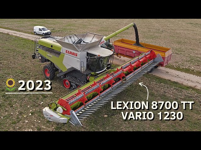 CLAAS LEXION 8700 TT & VARIO 1230 | SUNFLOWER HARVEST 2023