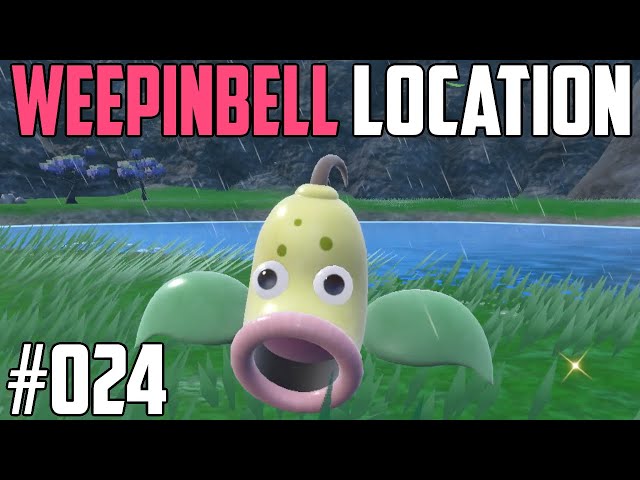How to Catch Weepinbell - Pokémon Scarlet & Violet (DLC)