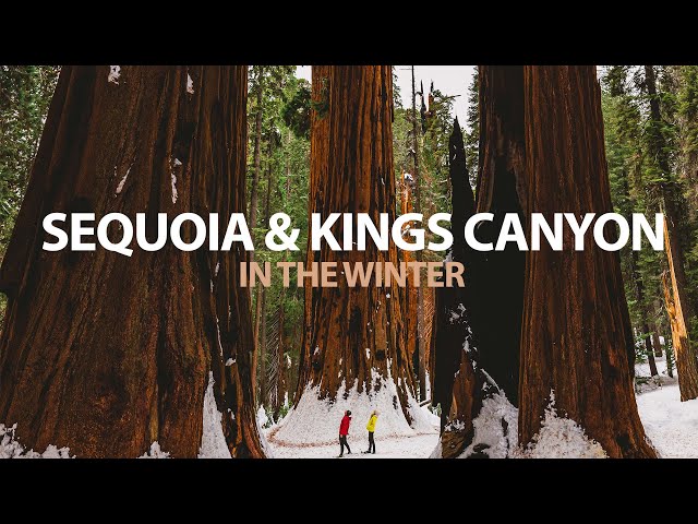 ULTIMATE WINTER SEQUOIA AND KINGS CANYON NATIONAL PARK TRAVEL GUIDE | Hikes, What to Bring, Closures
