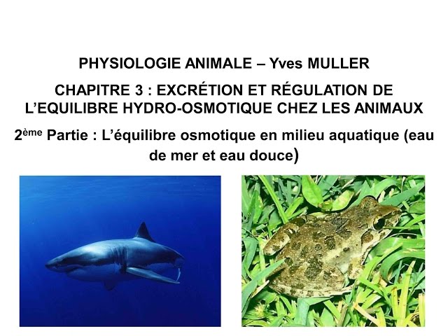 Chapitre 3-2 L’équilibre osmotique des animaux vivant en milieu aquatique (eau de mer et eau douce)