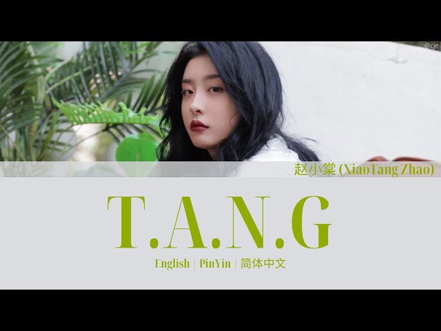 THE9 赵小棠 (Xiaotang Zhao) T.A.N.G 歌词/ Color Coded Lyrics(简体中文/PinYin/English)