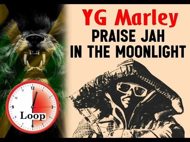 YG Marley: 'Praise Jah in the Moonlight' half hour Loop Mix | Spiritual Vibes 🎵✨