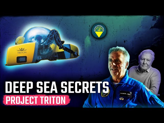 Discovering the Depths: Triton Submarines – Leaders in Underwater Exploration #deepocean