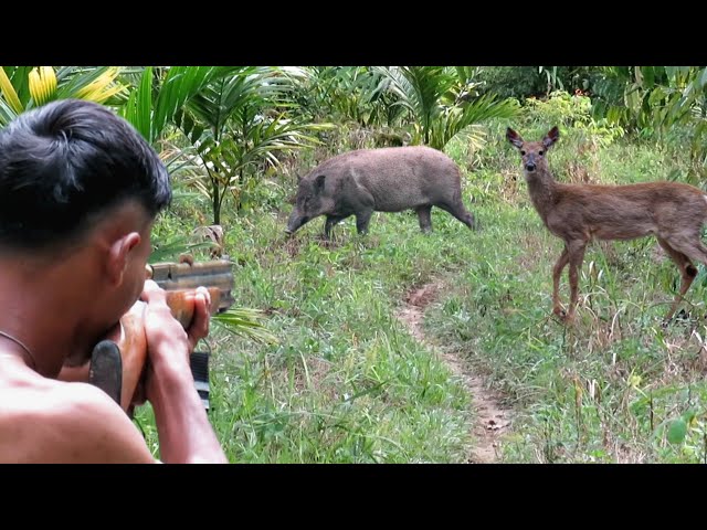 WILD BOAR HUNTING_ 1 big points full of struggle at the deer spot