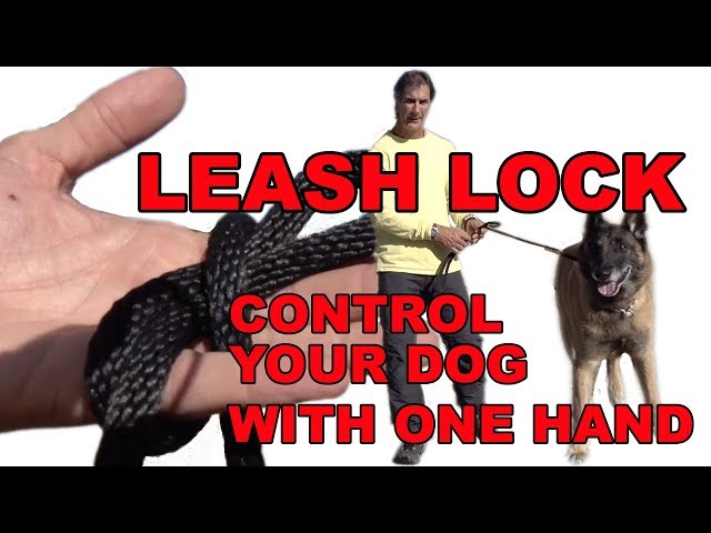 Control Your DOG with One Hand - Robert Cabral Leash Lock - Dog Training Secret
