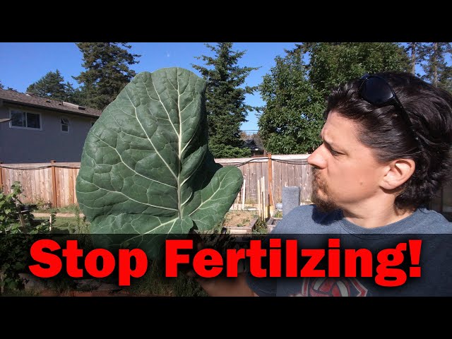 Stop Fertilizing! Your Garden Doesn't Need It