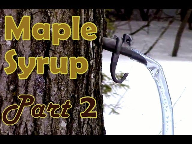 Maple Syrup- Part 2- Making the Sap into Syrup