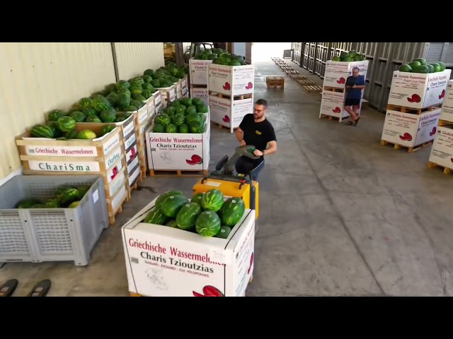 Loading Water Melons in Greece for Oslo Norway