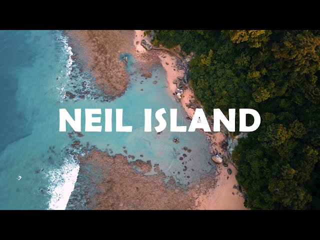 Crazy Adventure in andamans | Hidden Jungle | Scuba Diving | Neil Island | Part 6