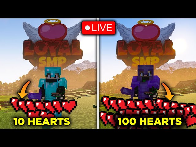 😱FARMING 10 TO 100 HEARTS IN LOYAL SMP